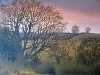 img_5863